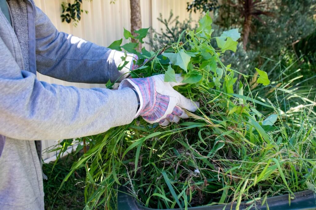 green waste removal service